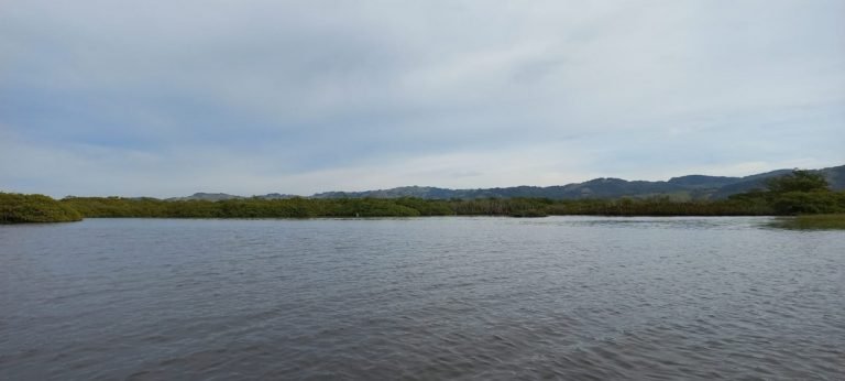 Flama intensifica proteção ambiental, mas quer agilizar licenciamentos