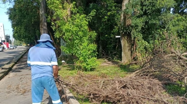 Equipes de serviços públicos iniciam manutenção de vias em Tubarão