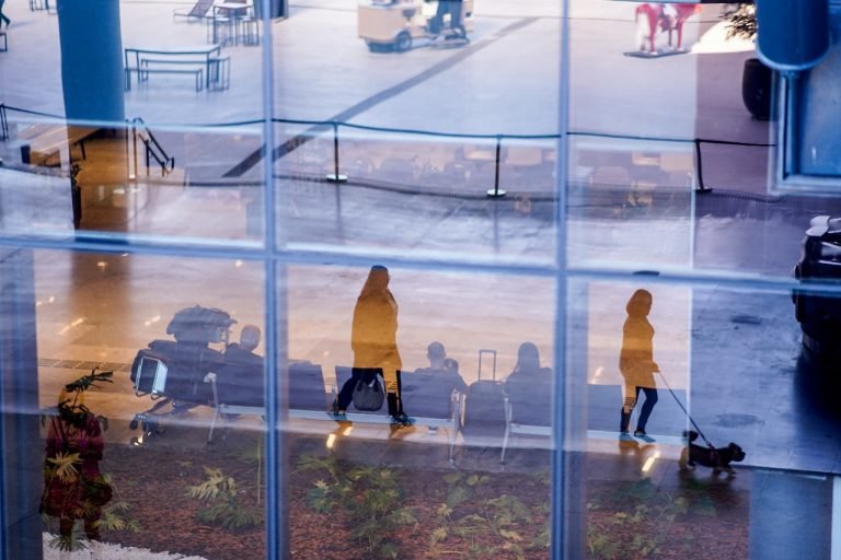 Crescimento do movimento internacional em SC: Passageiros e cargas