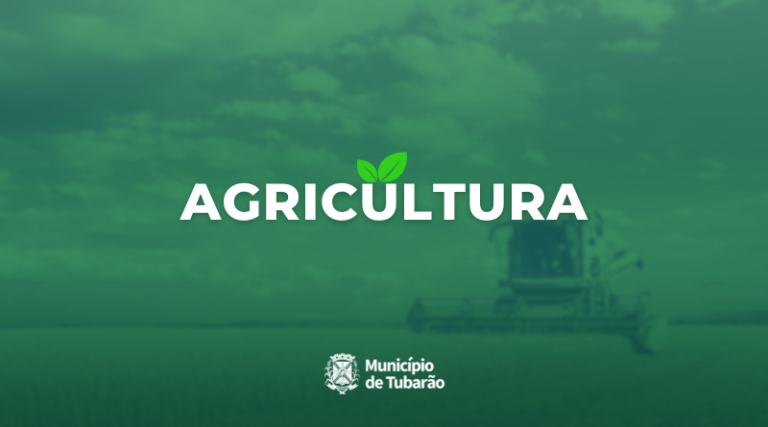 Prefeitura de Tubarão disponibiliza vacinas contra raiva e clostridiose bovina: retirada já disponível