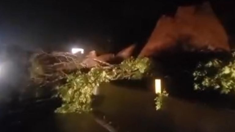 Tráfego na BR-101/SC interrompido por deslizamentos