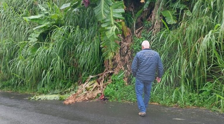 Fortes chuvas causam estragos em Santa Catarina: O que esperar