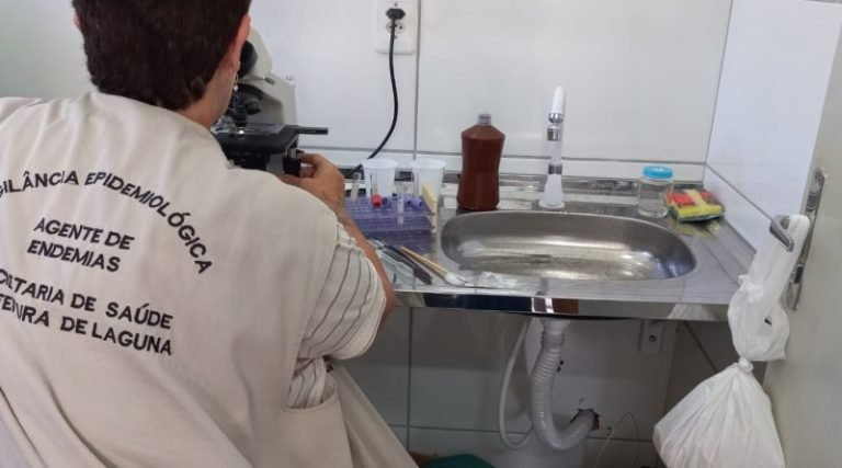 Novo foco de dengue em Laguna: Medidas de combate e prevenção