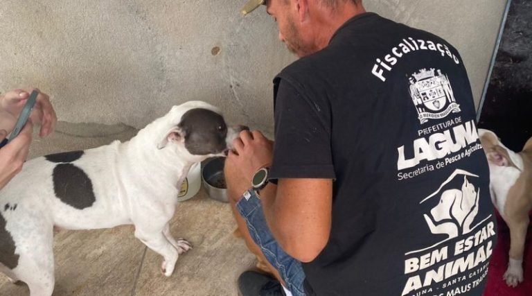 Gerência de Bem-Estar Animal investiga denúncia de maus-tratos a animais