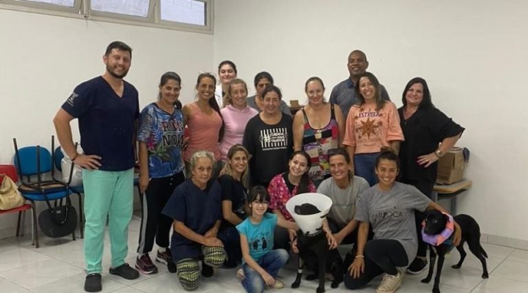 Mutirão de castração em Imbituba: Ação voluntária beneficia animais