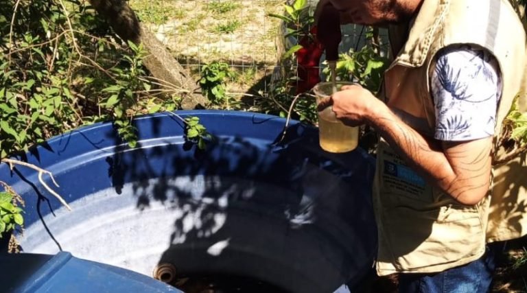 Aumento de casos de dengue em Imbituba: Cuidados e prevenção