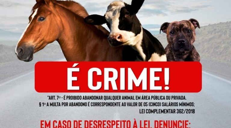 Campanha de conscientização: Prevenção ao abandono de animais em Laguna