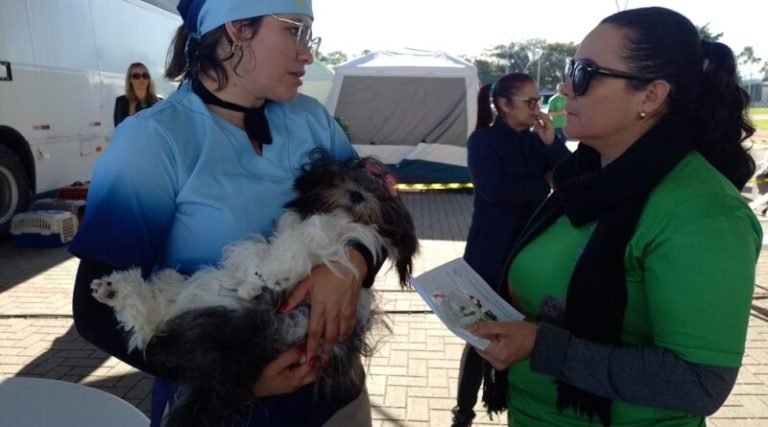 Prefeitura de Tubarão castra 100 animais e vacina 50 pets em ação de saúde