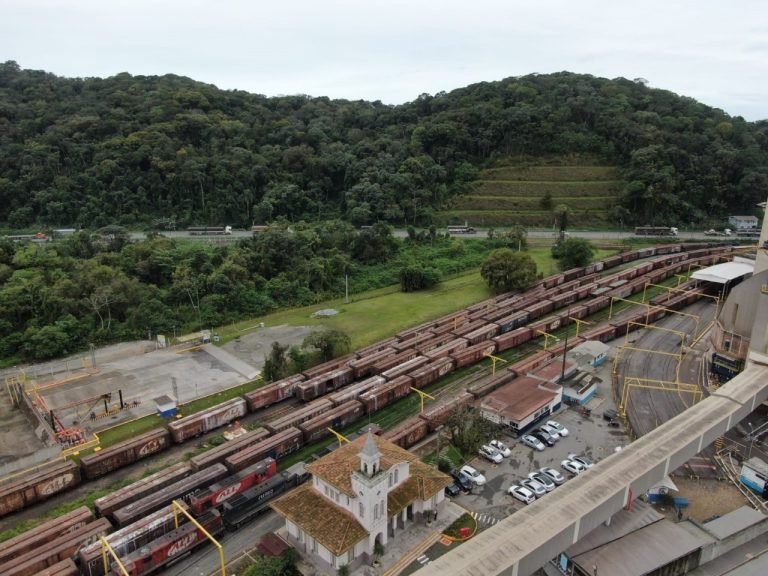 Movimento de cargas nas ferrovias de SC cresce 8,9% no primeiro semestre de 2024