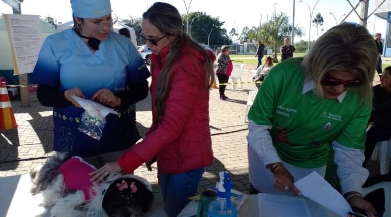 Funat realiza acompanhamento pós-castração em animais de estimação