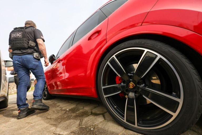 Polícia Civil deflagra 2ª fase da operação Tio Patinhas em SC