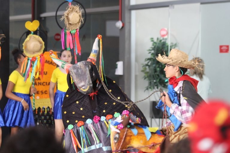 Unesc celebra cultura local com encontros de bois de mamão e maricotas