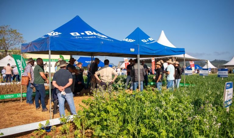 Cooperja realiza 3ª edição do Campo Agroacelerador e celebra 55 anos