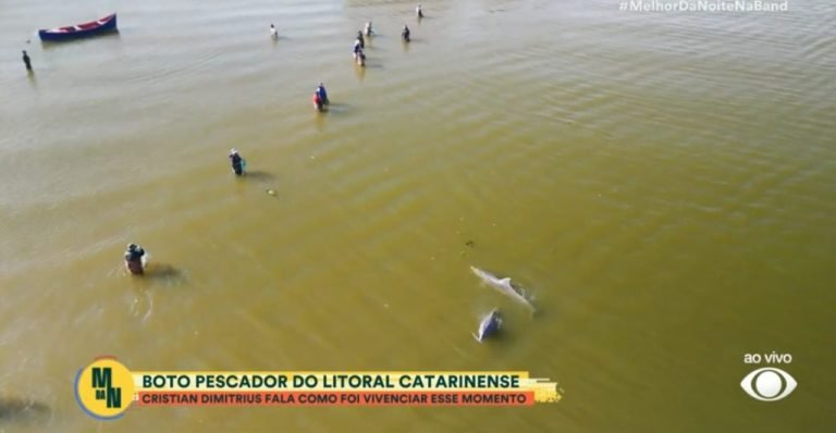 Reportagem explora a tradição dos botos-pescadores em Laguna