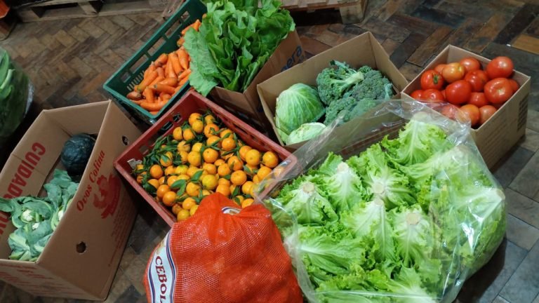 Tubarão distribui mais de 3,6 toneladas de alimentos em agosto