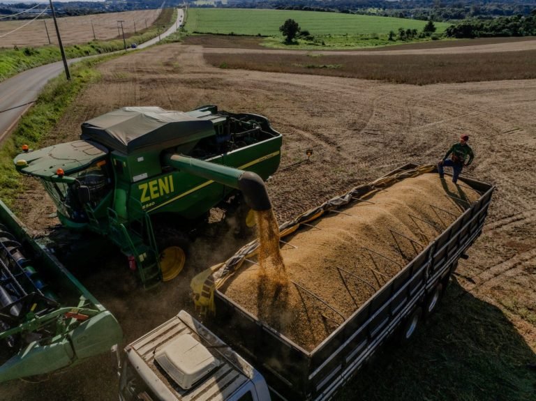 Santa Catarina registra aumento de 17,5% na produção de cereais e oleaginosas