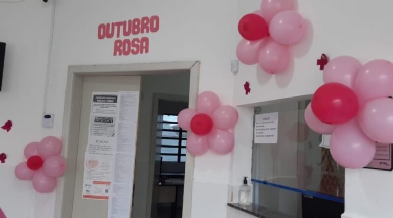 Dia D da campanha Outubro Rosa em Tubarão realiza centenas de atendimentos