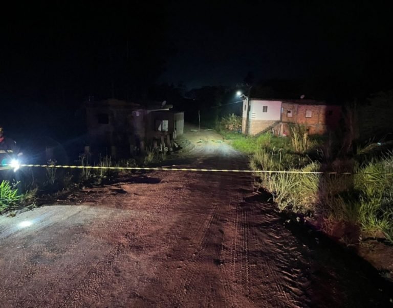 Tempestades causam mortes de animais e riscos elétricos na região