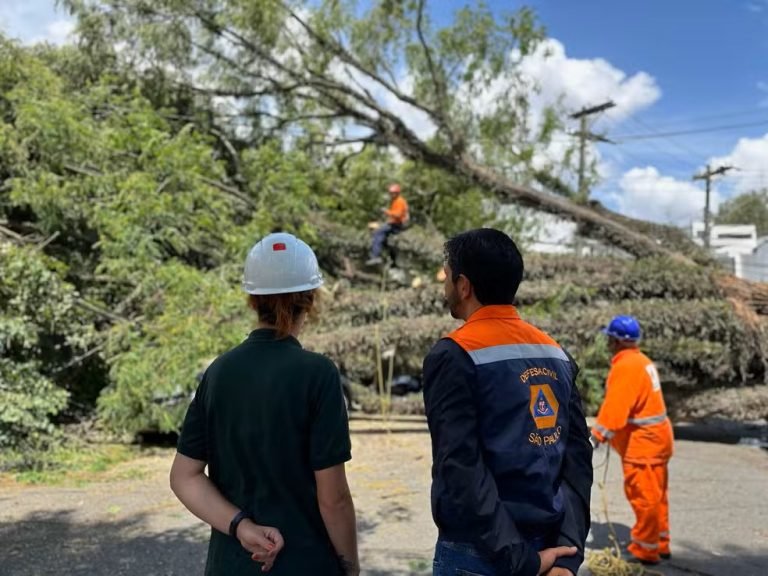 Ventos fortes e queda de árvores causam mortes e transtornos em São Paulo