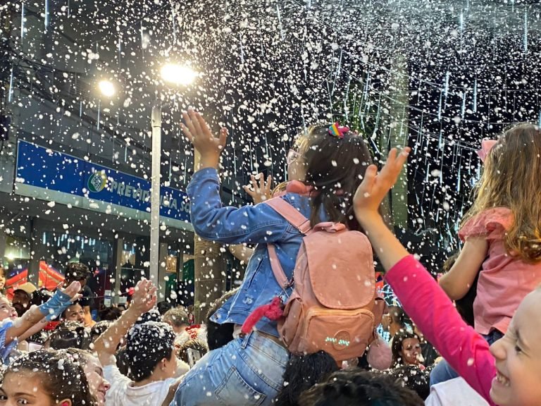 CDL de Tubarão inicia montagem da decoração natalina com apoio de voluntários