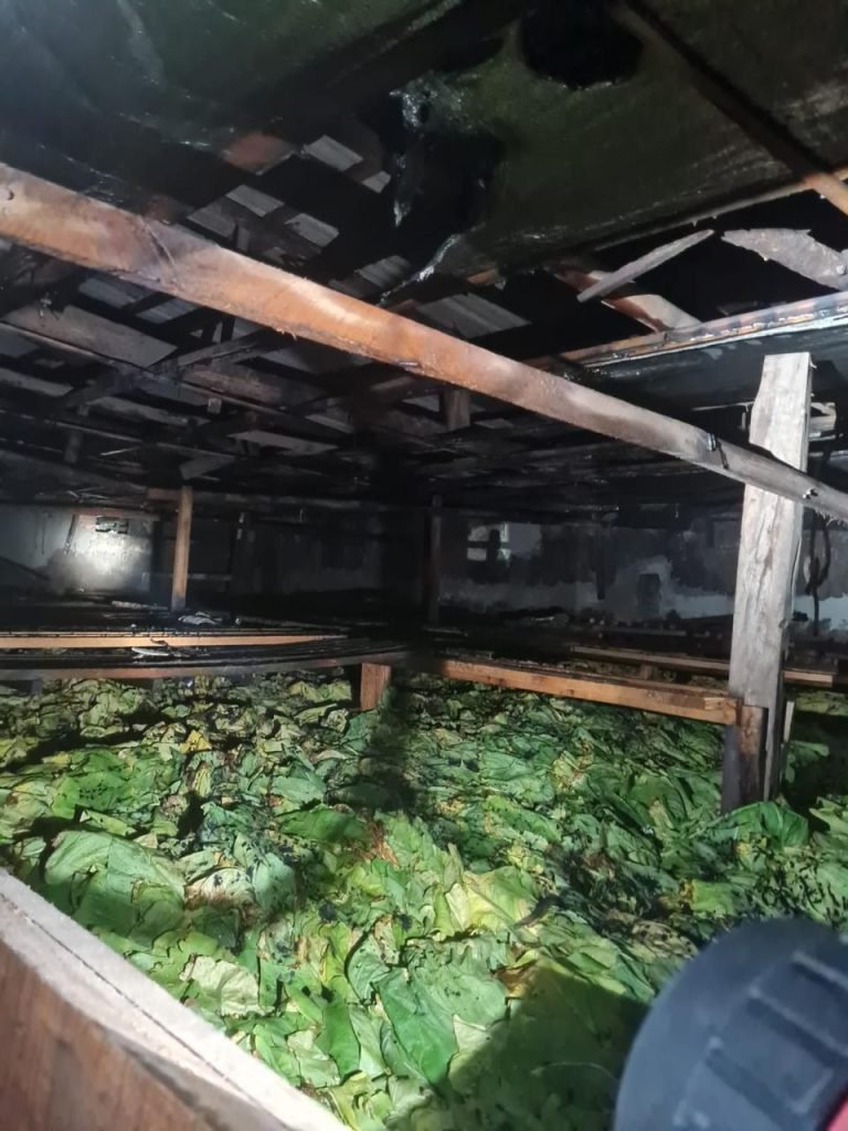 Incêndio atinge estufa de fumo em Sombrio e mobiliza Corpo de Bombeiros