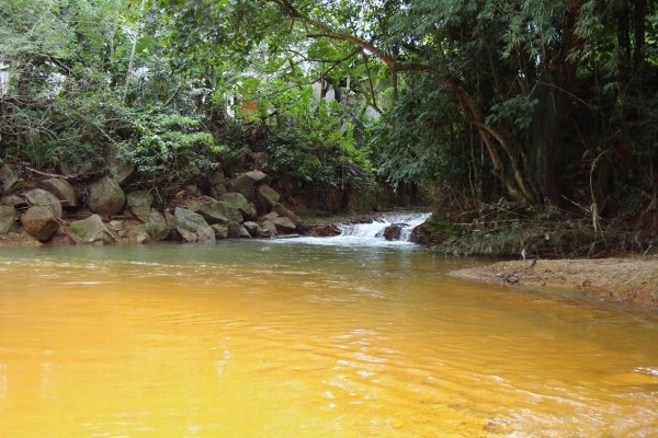 Comitê Urussanga celebra 18 anos em defesa dos recursos hídricos