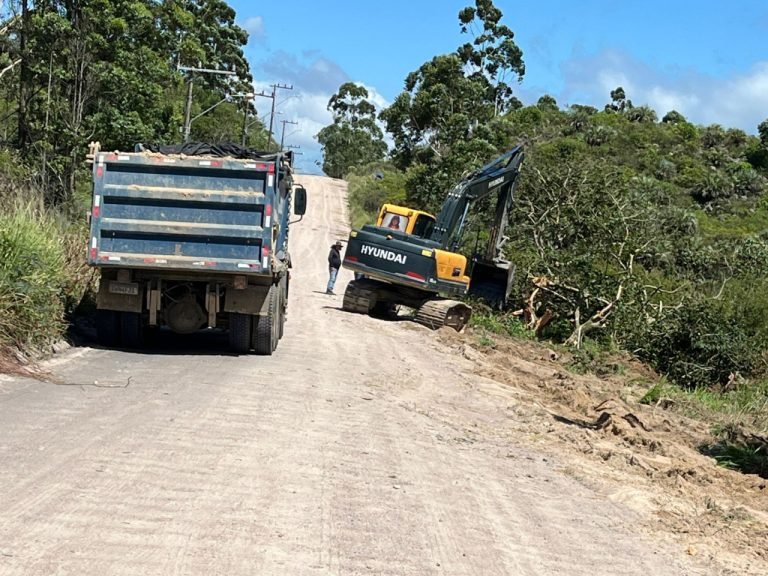 Asfaltamento do acesso à Praia do Sol já começou com proteção dos butiazeiros
