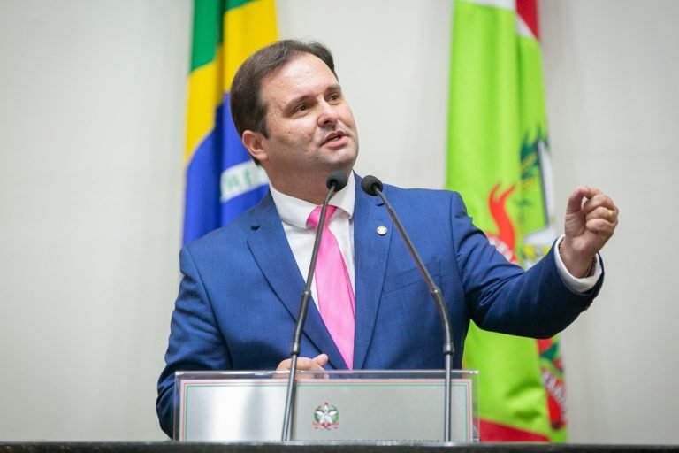 Deputados catarinenses brilham nas redes sociais em 2024