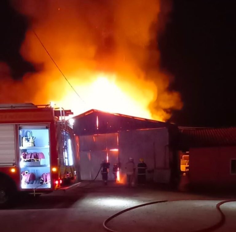 Incêndio de grandes proporções atinge empresa em Sangão