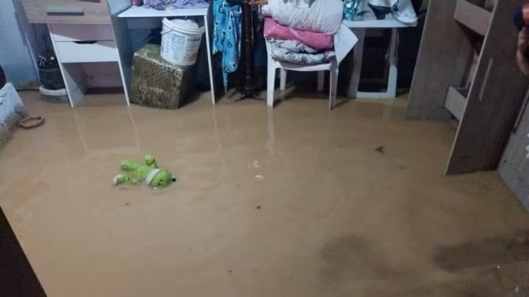 Temporais e ventos de 80 km/h causam estragos em SC