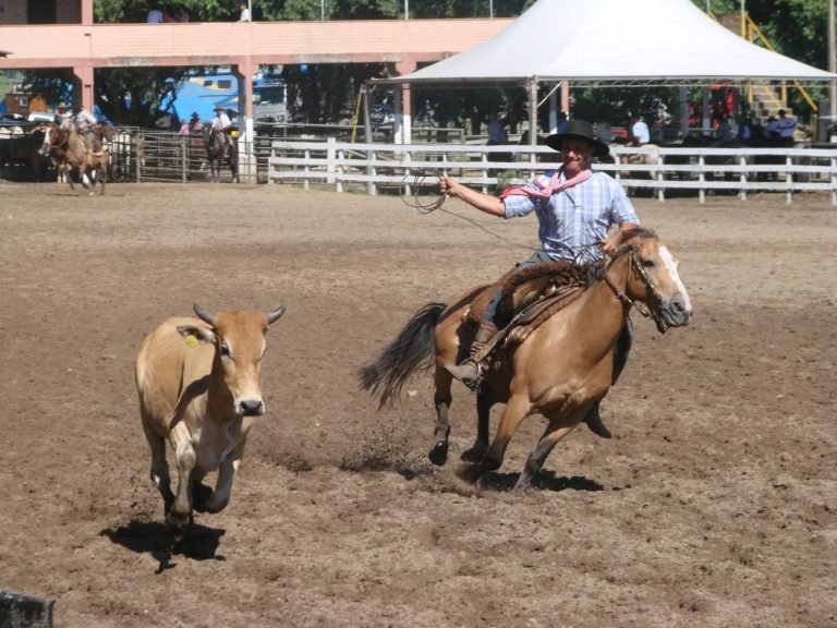 Rodeio Crioulo em Pescaria Brava promete festa inesquecível