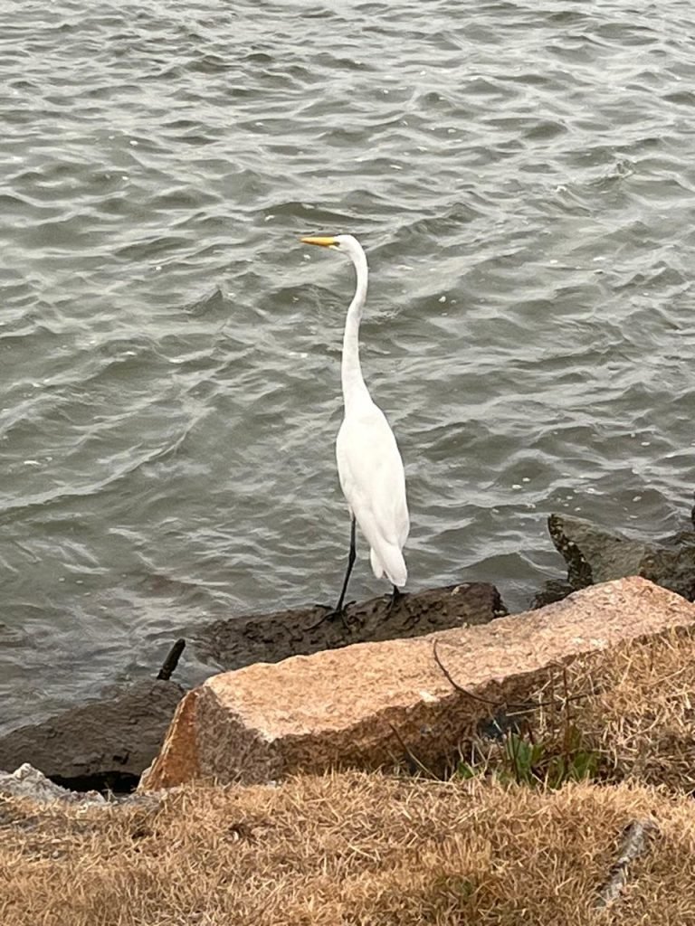 Semana começa quente e sem previsão de chuva em Tubarão e região