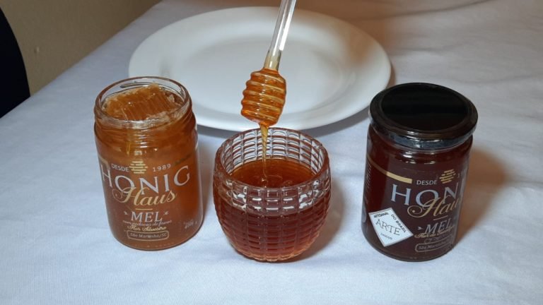 Dia Nacional do Mel: SC produz 6,5% do total no Brasil