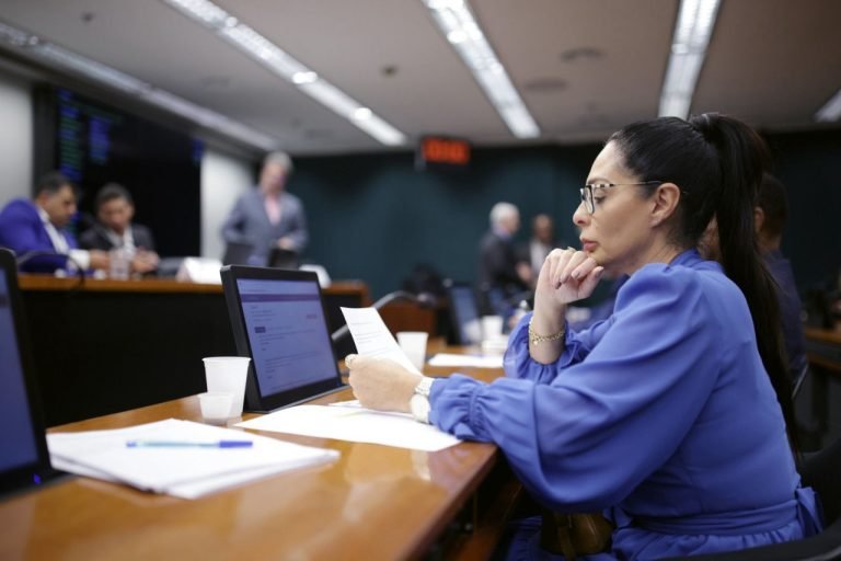 Pelo Estado – Deputados catarinenses se destacam em Brasília