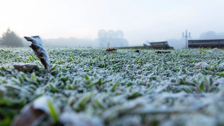 Geada cobre São Joaquim com -1,9ºC e paisagem congelante