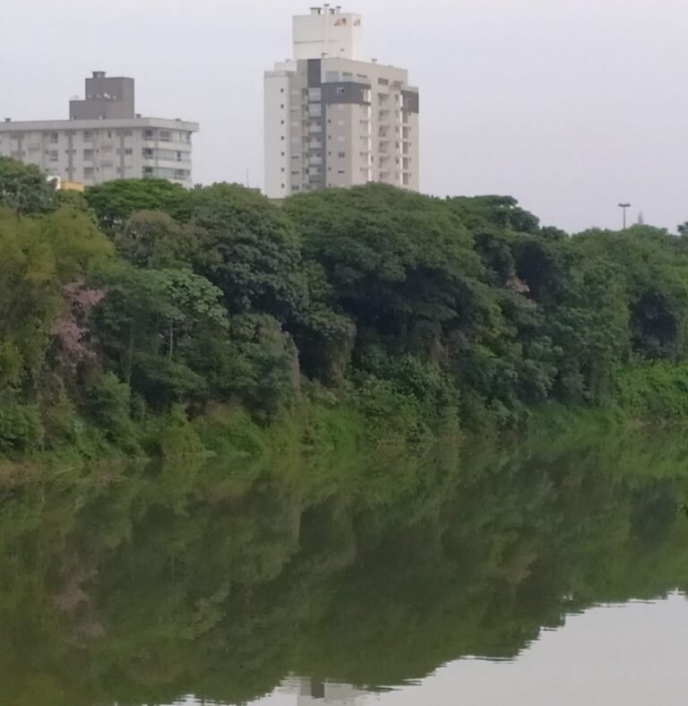 Terça começa com sol e frio intenso em Santa Catarina