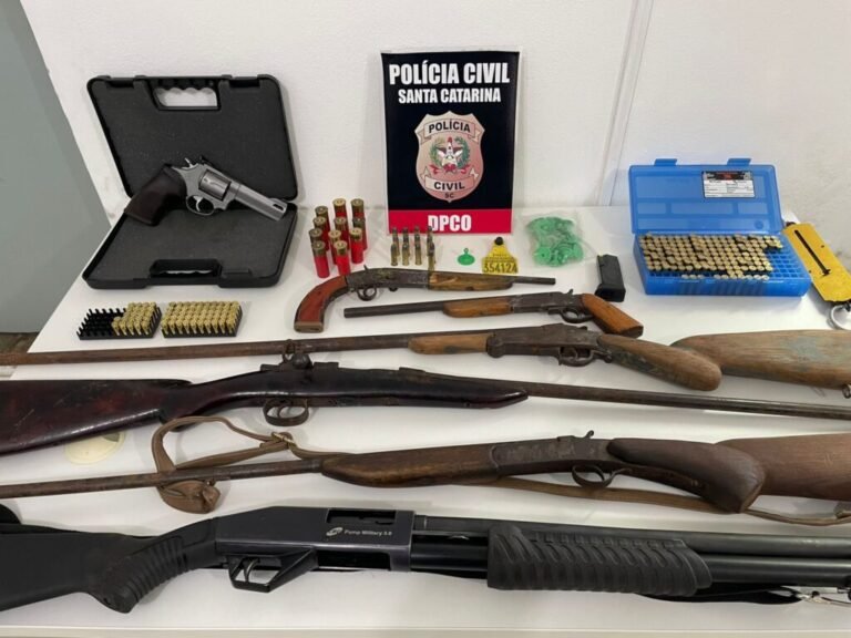Polícia Civil apreende armas e investiga comércio ilegal de carne em São Joaquim