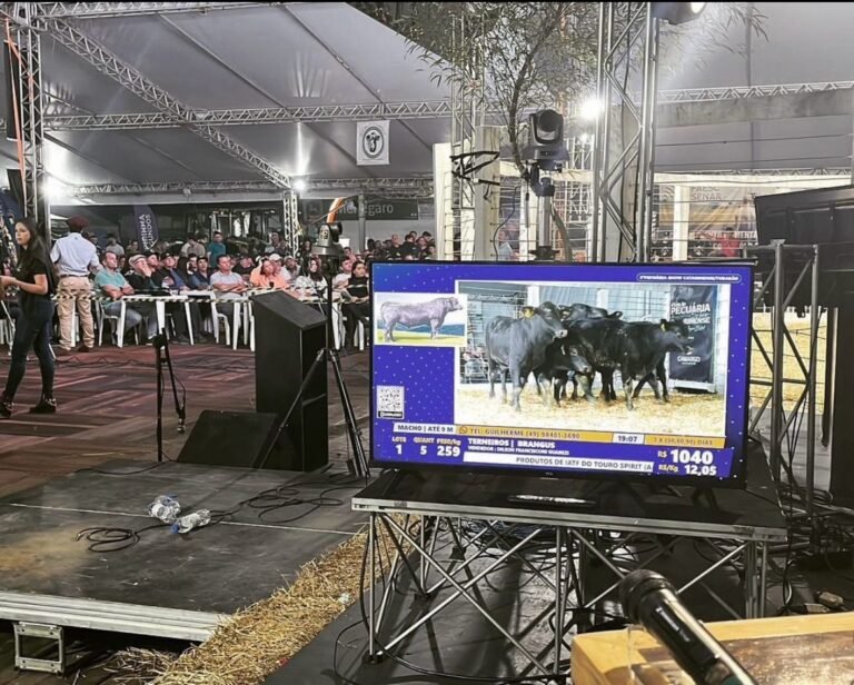 Leilão de animais promete movimentar a 7ª Feira Agropecuária de Tubarão