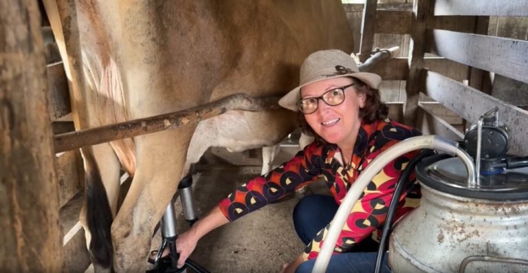 Governo catarinense libera R$ 20,5 milhões para agricultura no Estado