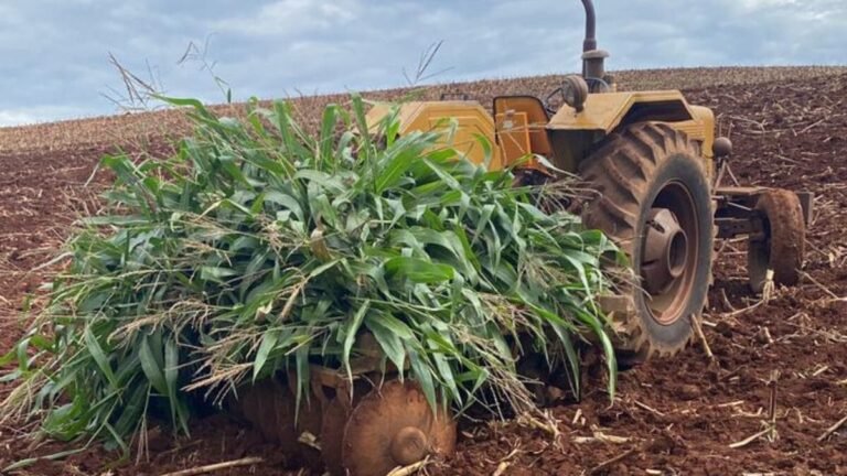 Agricultor de 86 anos morre atropelado por trator em propriedade rural de Iporã do Oeste
