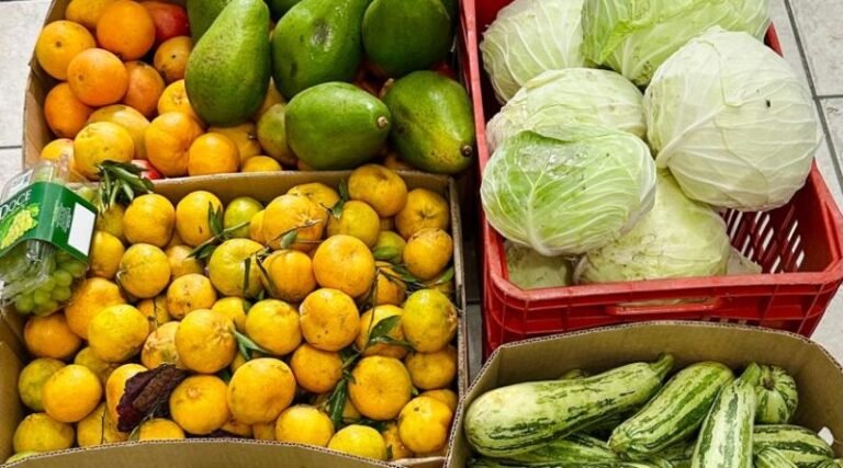 Cesta básica em Tubarão varia mais de R$ 25 entre mercados