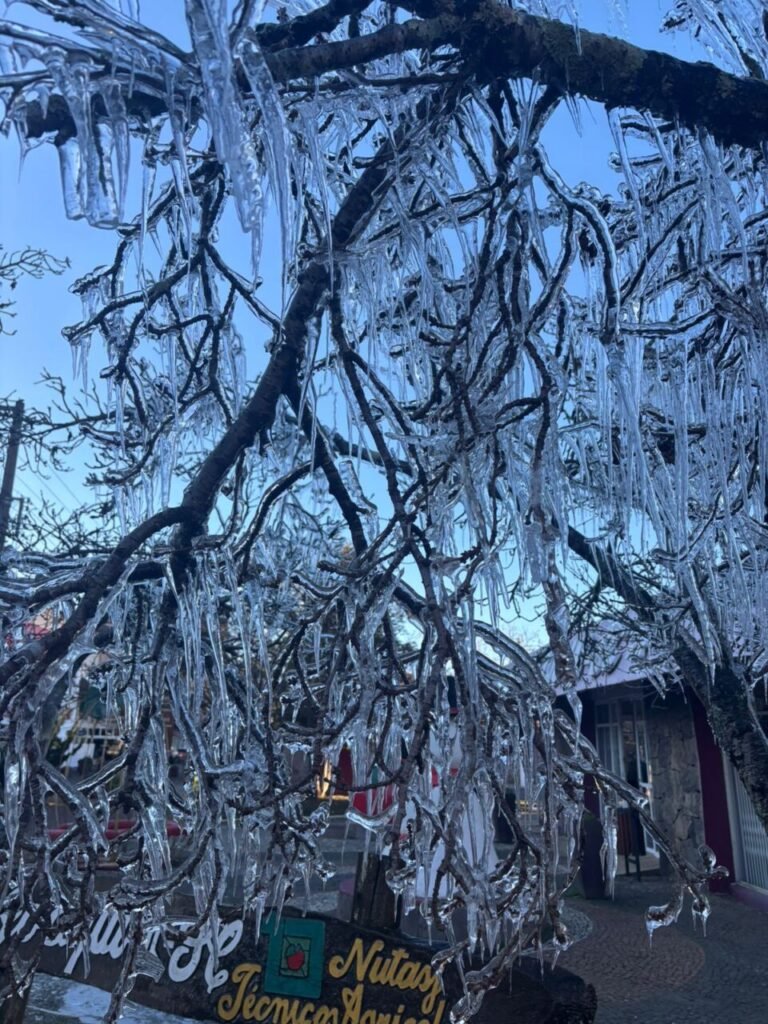 Frente fria dá lugar a ar polar e Santa Catarina terá geada e mínimas negativas nos próximos dias