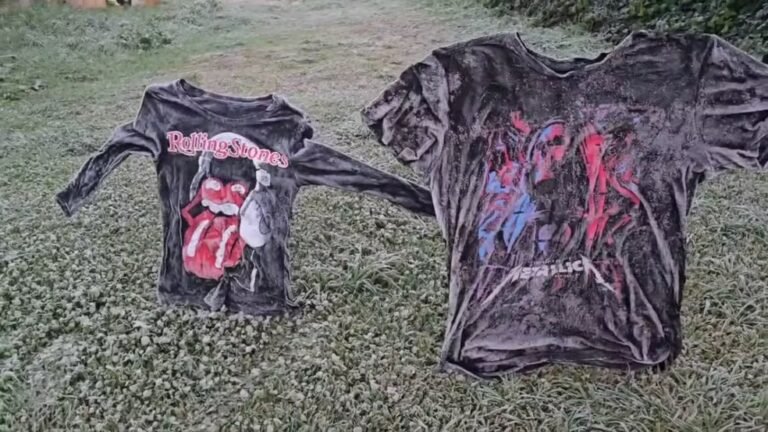 Camiseta congelada, geada e -6,5ºC: o dia mais frio do ano em SC