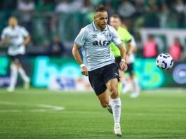 Grêmio e Fortaleza se enfrentam na terça-feira, 29, pela 17ª rodada do Brasileirão
