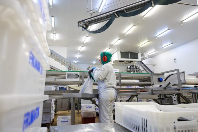 Indústria e serviços de SC crescem acima da média nacional em 2025