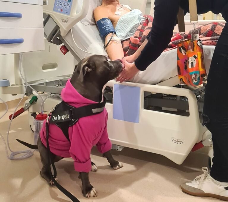 Cão terapeuta leva esperança e afeto a pacientes internados em Lages