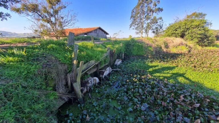 Defesa Civil e Agricultura vistoriam sistema de drenagem no Campestre