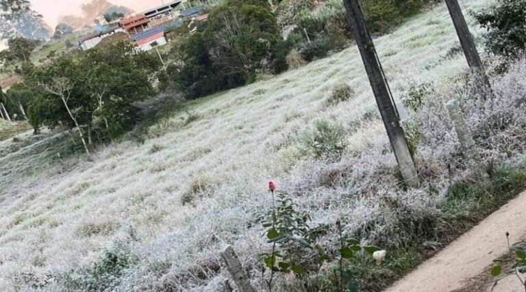 Tubarão registra madrugada mais fria do ano com 3,8 ºC