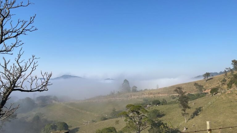 Frio, chuva e ventos fortes: confira a previsão do tempo em SC até sexta-feira