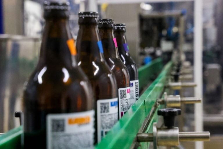 Santa Catarina lidera abertura de cervejarias em 2024